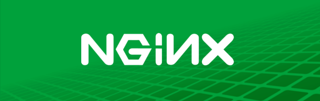 وب سرور Nginx چیست؟